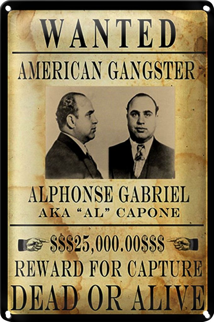 Blechschild Spruch 20x30cm wanted Alphonse Gabriel american