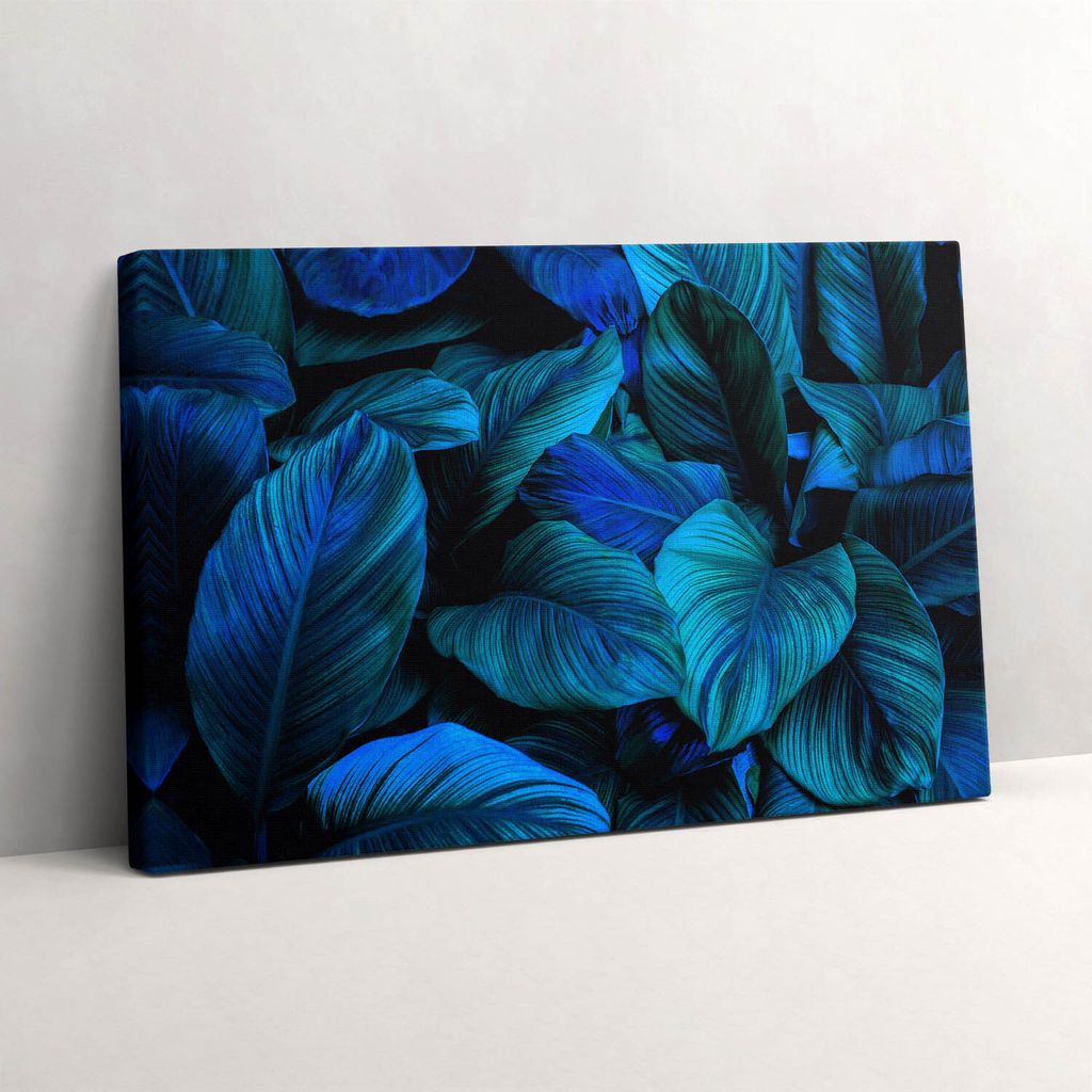 Tropische Natur – Leinwandbild Wandbild – 60x40 cm – Leinwandbilder – Wandbilder – Schlafzimmer – Flur