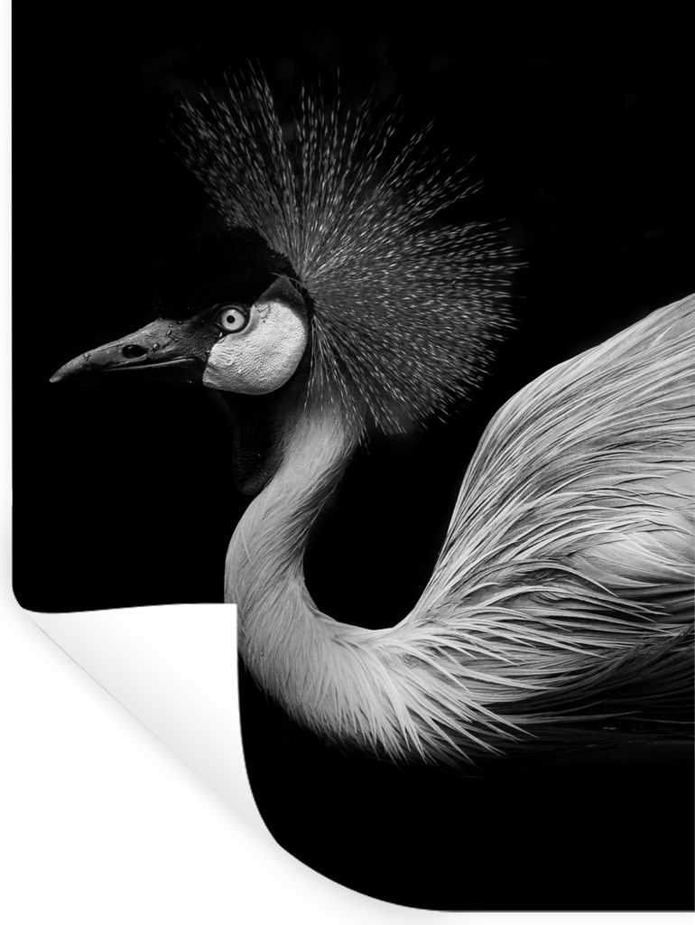 MuchoWow Wandtattoo Wandsticker Wandaufkleber Kranich - Schwarz - Weiß - Vogel - Tiere 30x40 cm Selbstklebend und Repositionierbar - Sticker - D...