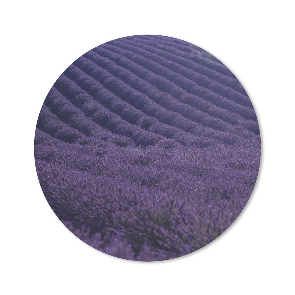 MuchoWow Mauspad Mousepad Blühendes Lavendelfeld auf sanften Hügeln 20x20 cm - Mousepads - Maus Mat - Pad - Mausunterlage - Schreibtischmatte