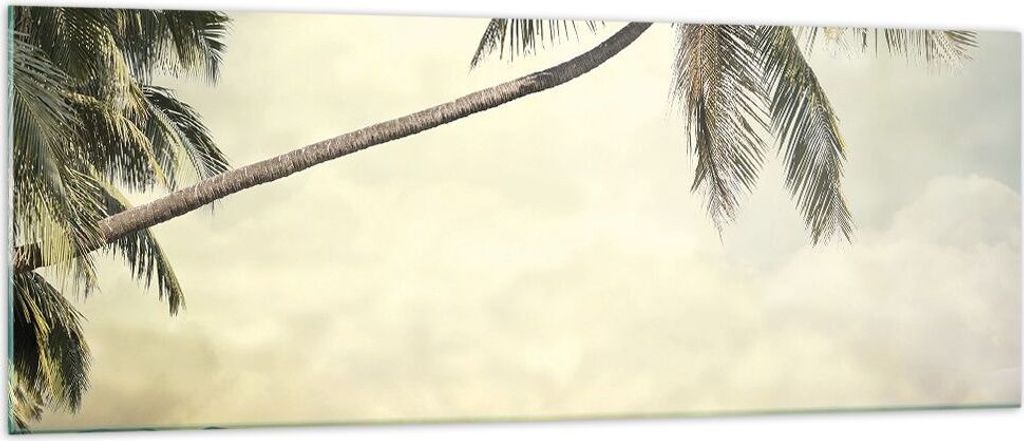 Bilder auf glas - Einteilig - Palme Strand Insel - 140x50cm - Glasbilder - Wandbilder - Bilder - zum Aufhängen bereit - Wanddekoration aus Glas - ...