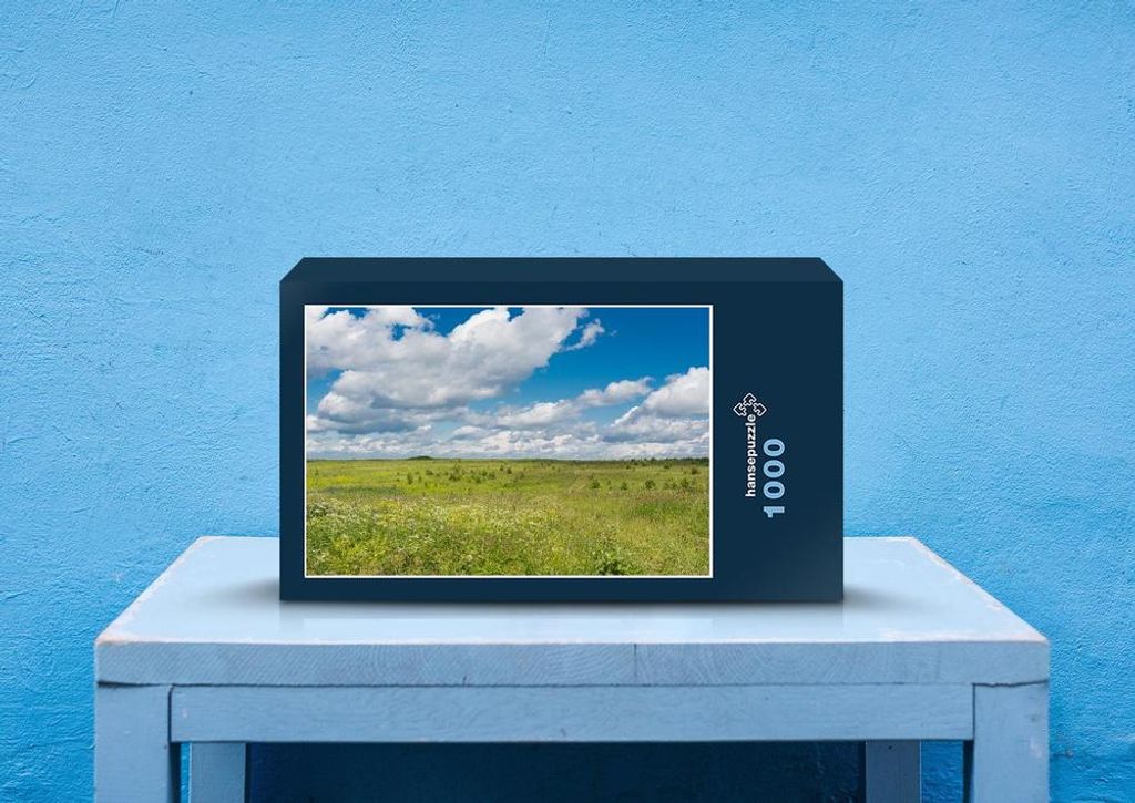 hansepuzzle 45629 - Feld Puzzle, 1000 Teile, Natur, 60,0 x 46,0cm mit hochwertiger Aufbewahrung, Kartonbox und wiederverschließbarem Beutel