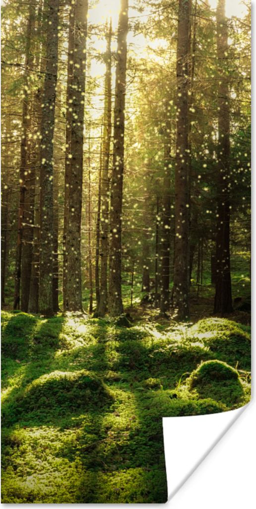 MuchoWow Poster Bäume - Wald - Moos - Pflanzen - Sonne - Natur 80x160 cm - Kinderzimmer