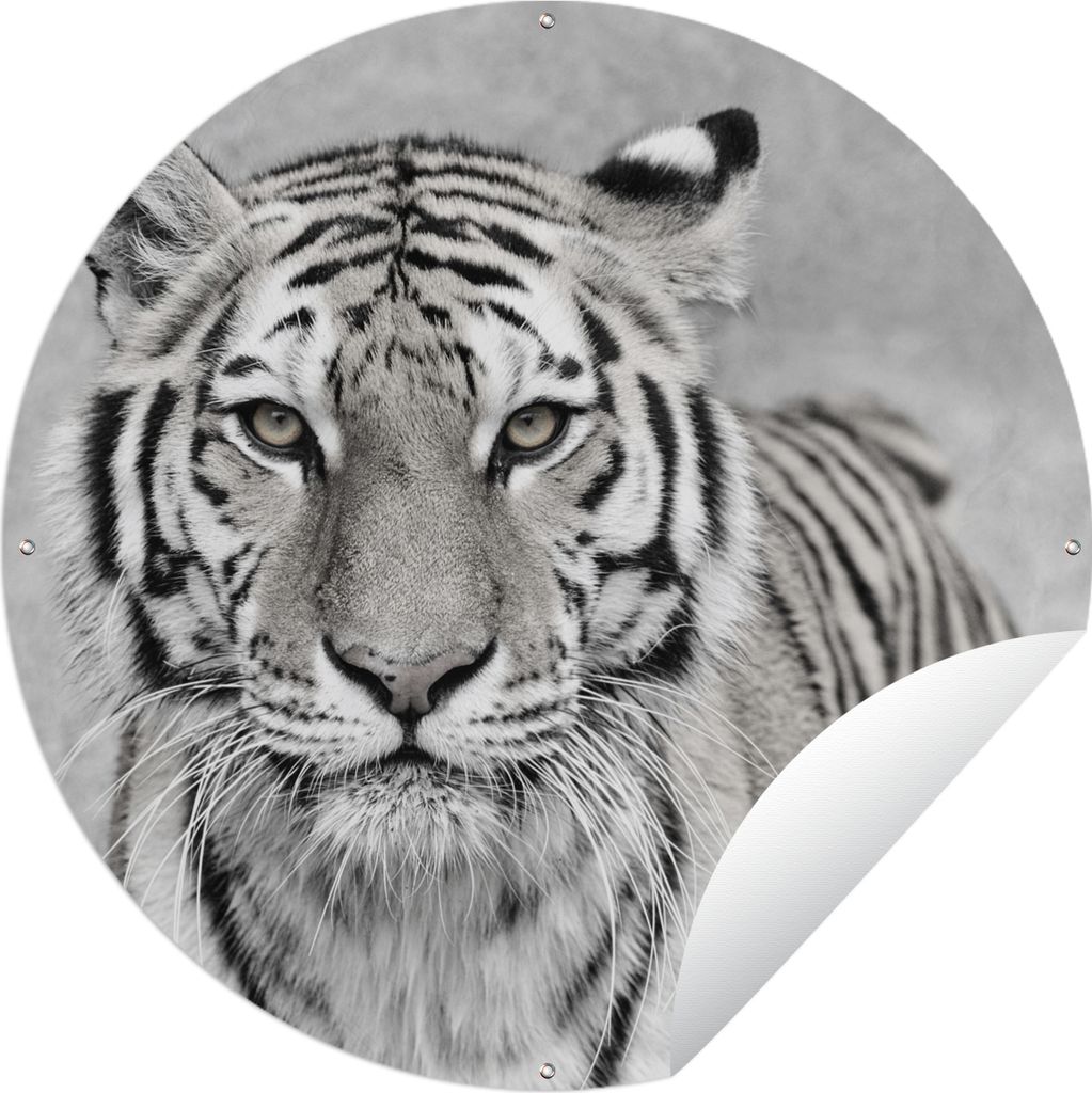 MuchoWow Gartenposter Outdoor-Poster Rund Tiger - Natur - Schwarz - Weiß Ø 120 cm Gartendeko Rundes Poster draußen