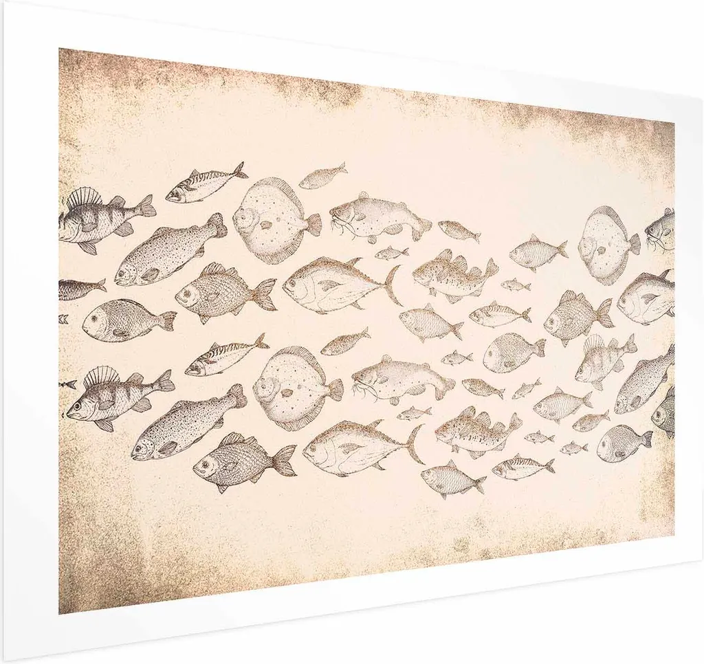 Poster Artistico Pesce Sottile 90x60 - Decorazione Parete Rilassante