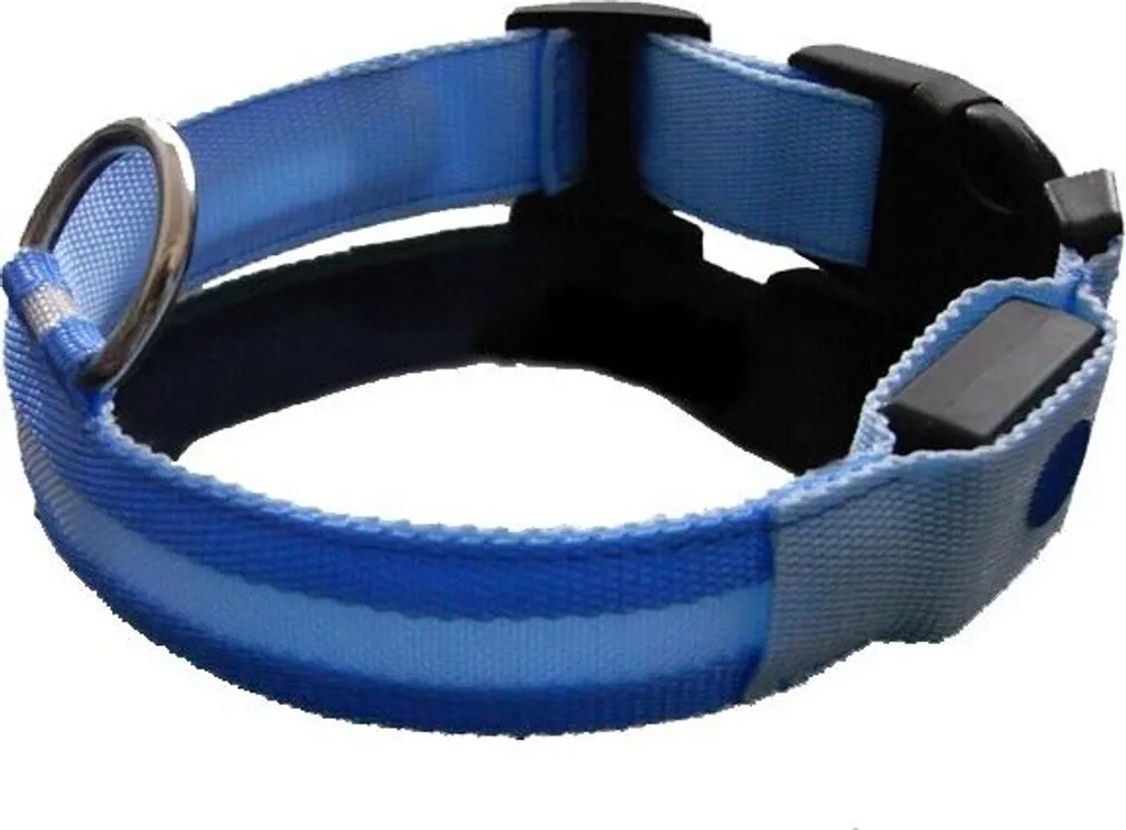 Collare per cani a LED per animali domestici Collare lampeggiante di sicurezza notturna per cani - Blu S