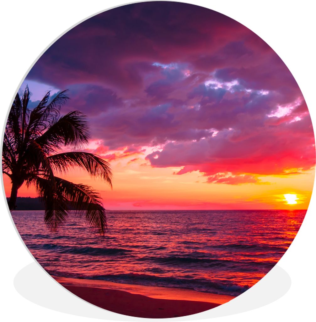 MuchoWow Rundes Wandbild - Runde Bilder Sonne - Horizont - Rosa - Palme - Meer Ø 30 cm Kreis Wanddekoration Kunststoff - Wandkreis - Wandschmuck...