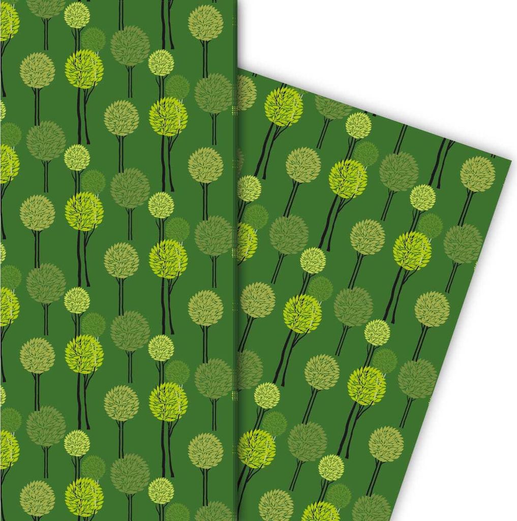 Schönes Geschenkpapier mit kleinem Laub Wald in grün - Produktbild 