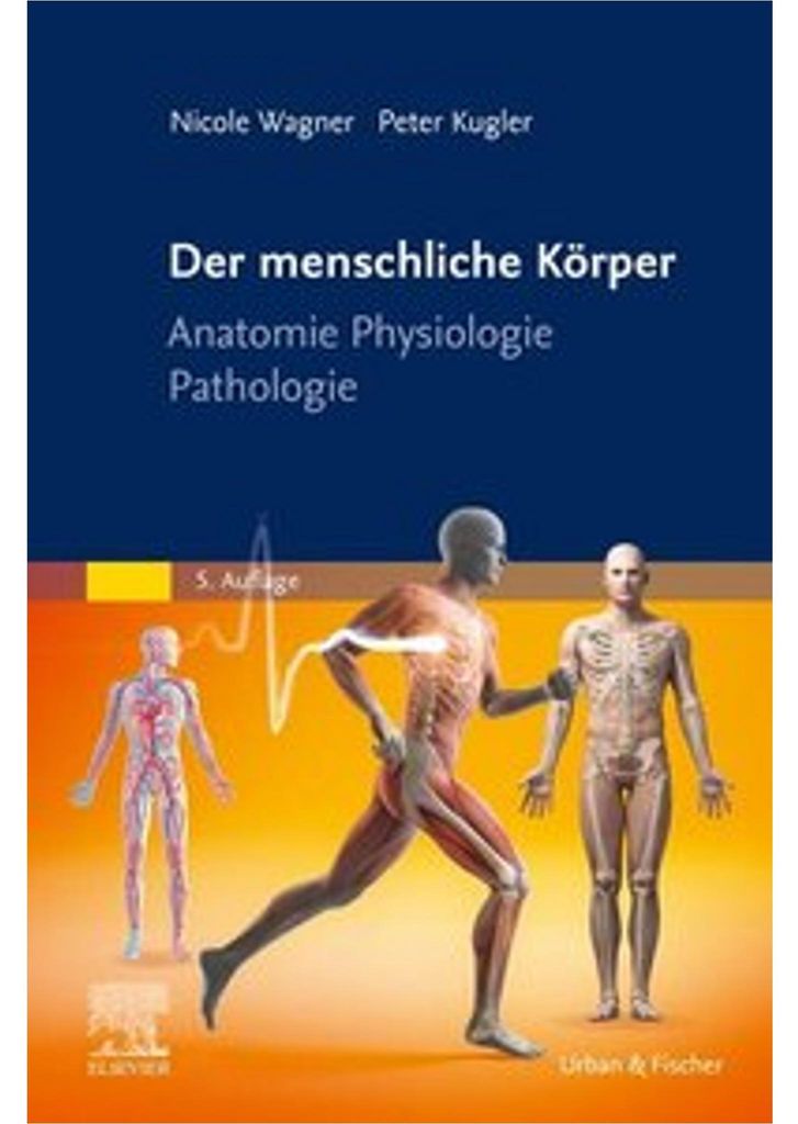 Der menschliche Körper Obrázok produktu 