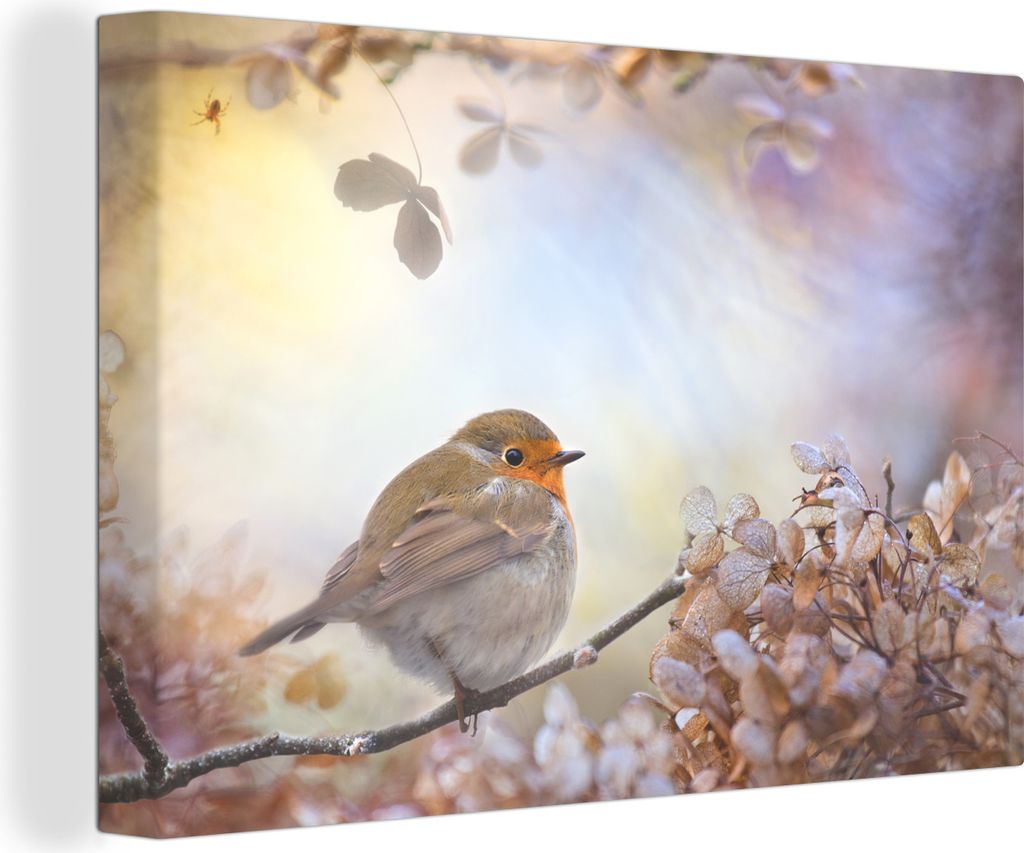 MuchoWow - Leinwandbilder - Rotkehlchen - Natur - Pastell, Wandbild, Wanddeko Bilder Wohnzimmer, 60x40 cm