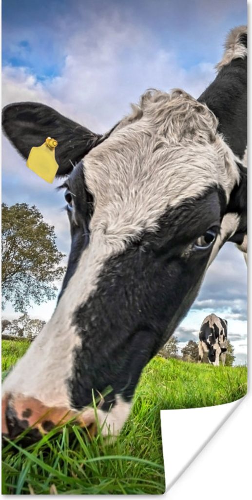 MuchoWow Poster Kuh - Gras - Bauernhof - Natur 40x80 cm - Dekoration