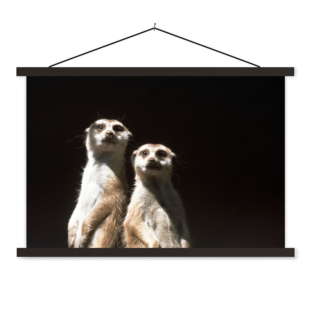 MuchoWow Textilposter Schwarz - Erdmännchen - Tiere 150x100 cm mit schwarzem Rahmen - Schlafzimmer