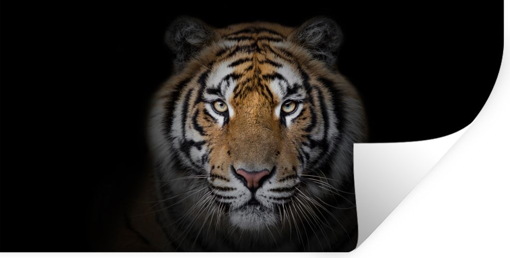 MuchoWow Wandtattoo Wandsticker Wandaufkleber Tiger - Wildtiere - Porträt - Schwarz - Tiere 80x40 cm Selbstklebend und Repositionierbar - Aufkleber
