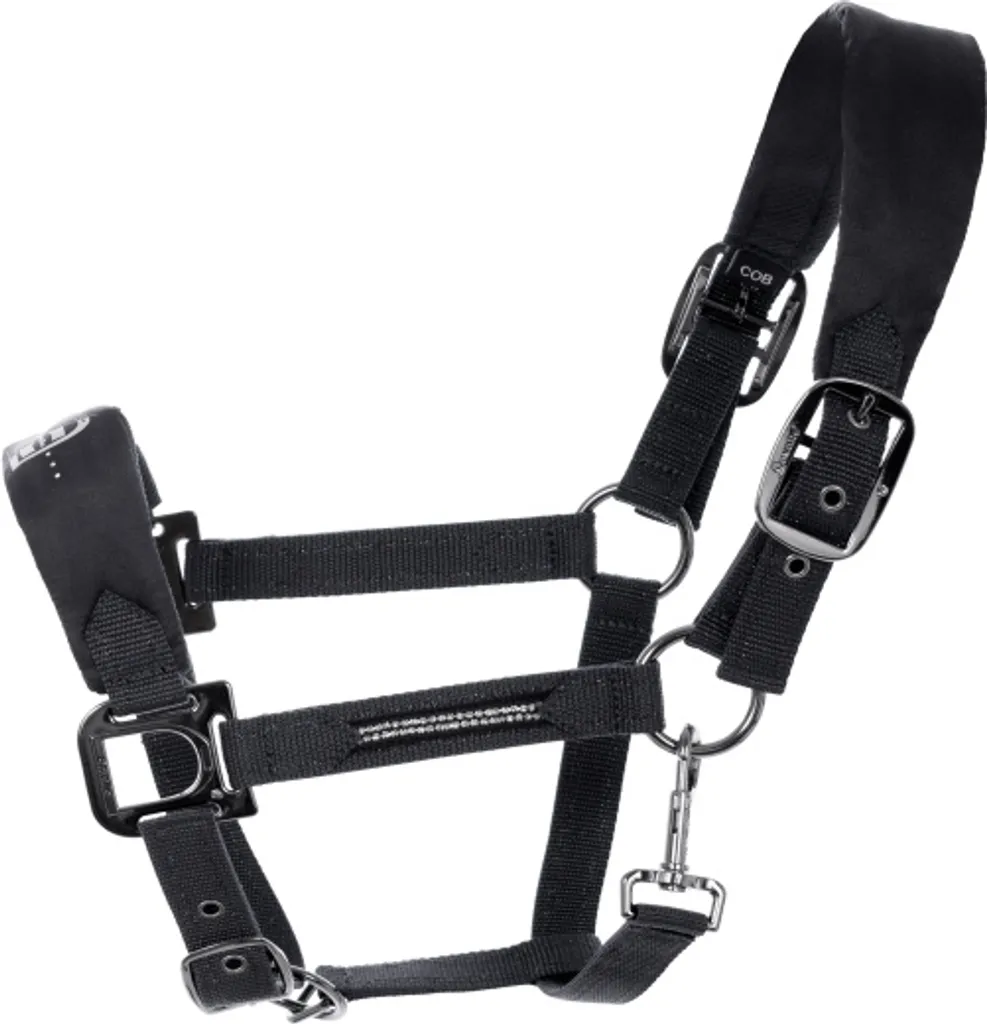 Licou Cavallo HALLONA WB noir rembourré série Horsefashion 2022