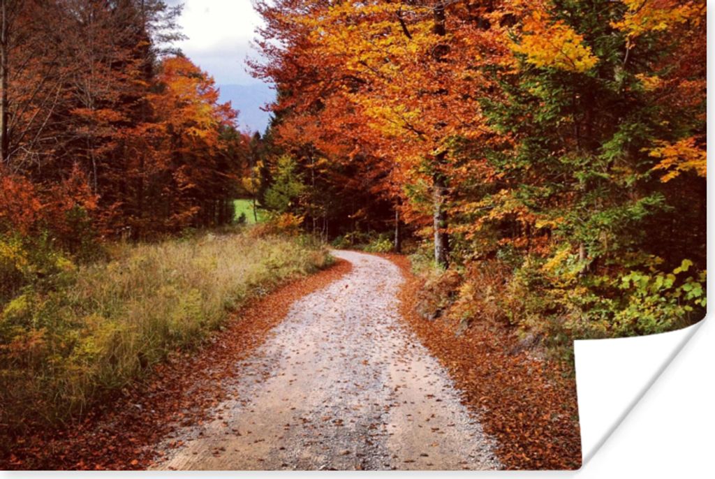 MuchoWow Poster Herbst - Herbstblätter - Weg - Wald 180x120 cm - Fotoplakat