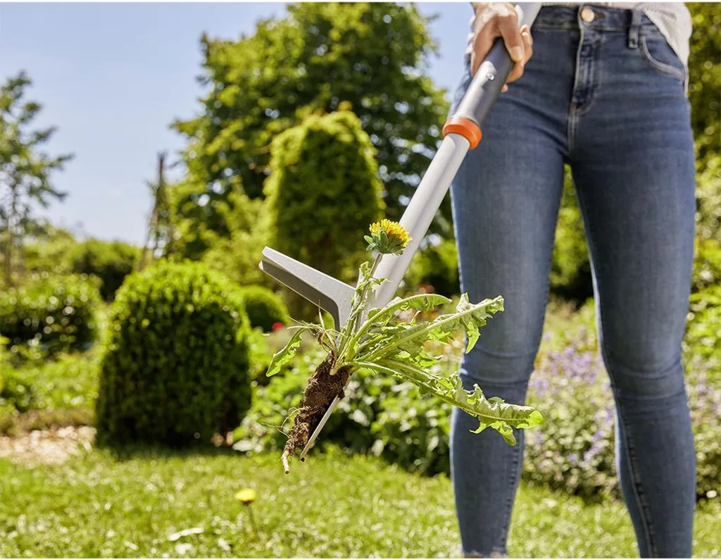 Diserbante 360 per Prato e Giardino - Stop Erbacce con Glifosate - 6