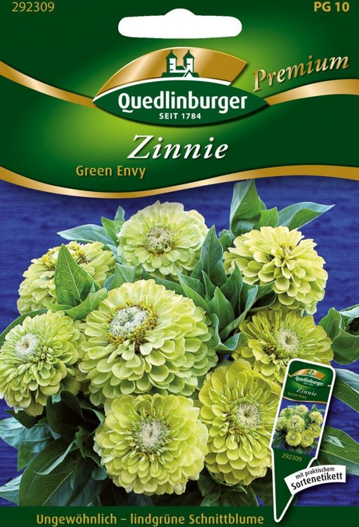 Zinnien Green Envy | Zinniensamen von Quedlinburger