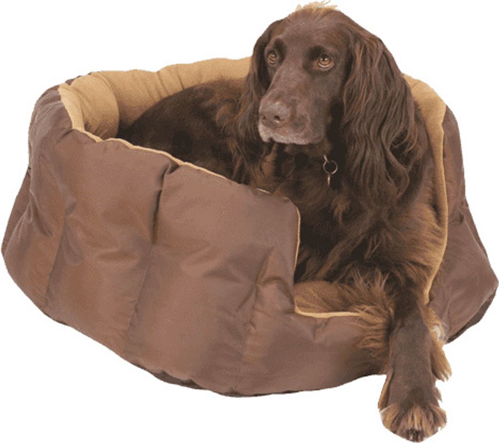 Pet-Joy Products Doggy Teddy X-Treme Brown - Large 65 x 28