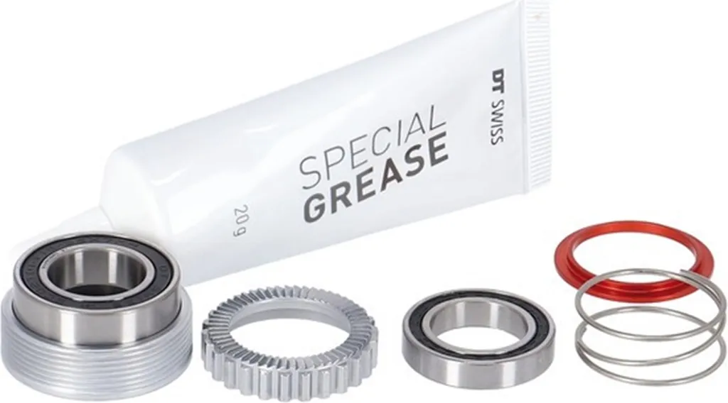 Kit de service roue libre DT Swiss Ratchet EXP 54 dents pour moyeu argent