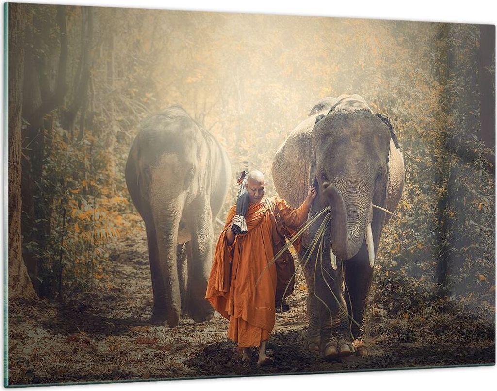 Bilder auf glas - Elefant Mönch Dschungel - 120x80cm - Glasbilder - Wandbilder - Kunstdruck - zum Aufhängen bereit - Wanddekoration aus Glas - Gl...
