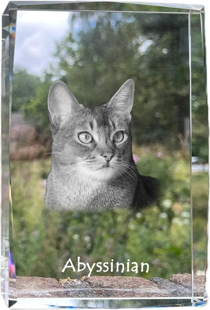 Cadre Photo en Cristal Effet Diapositive Décoration Chat Art-Dog 3D