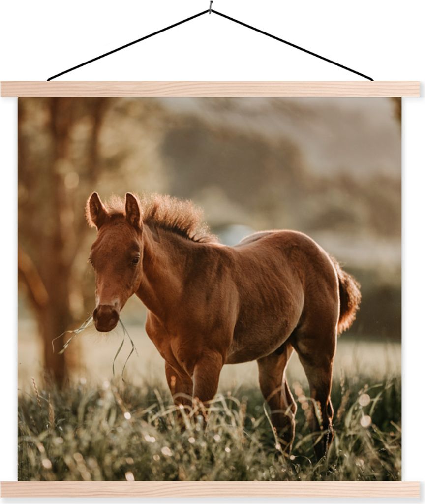 MuchoWow Textilposter Pferd - Licht - Wiese 40x40 cm mit holzfarbenen Rahmen - Posterleiste