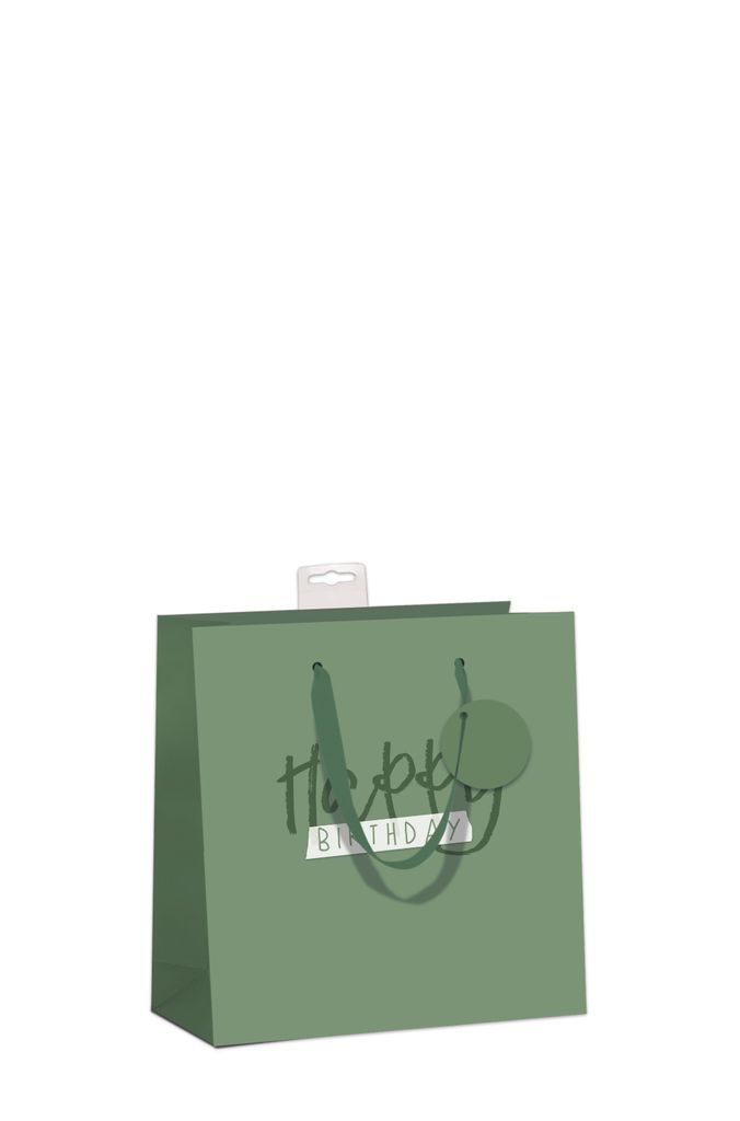 6 Geschenktaschen CD-Format Small grün Happy Birthday€ 11,70 pro Tüte € 1,95 Bundle Set Geschenktüten