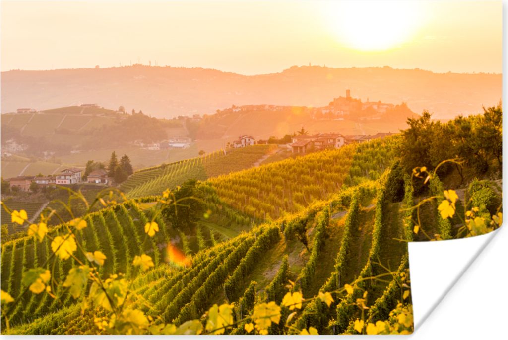 MuchoWow Poster Italien - Weinberg - Sonne 30x20 cm - Plakate - Print