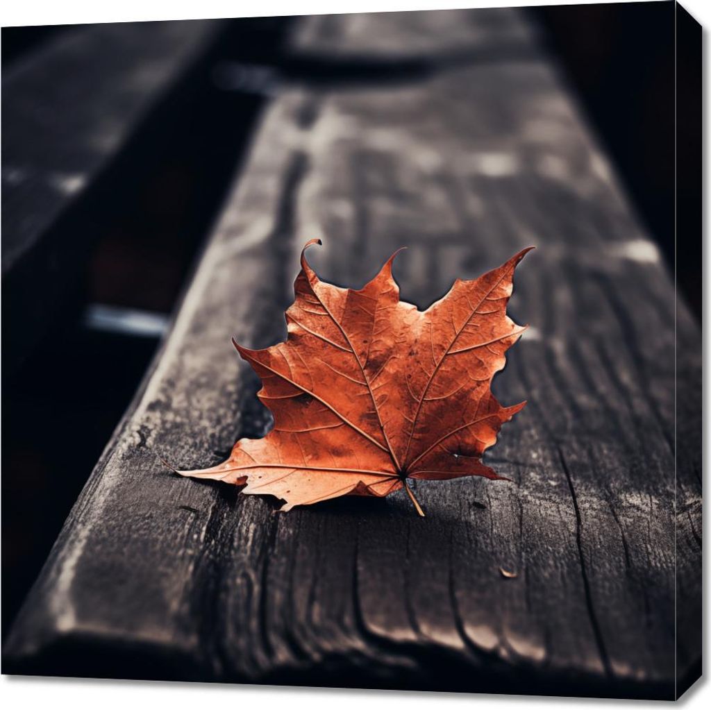 Bild 70x70cm Einzelnes Blatt