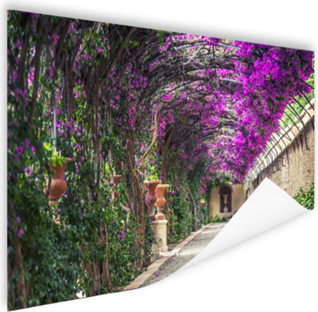 MuchoWow Poster Getunnelte Pergola 60x40 cm - Schlafzimmerdekoration