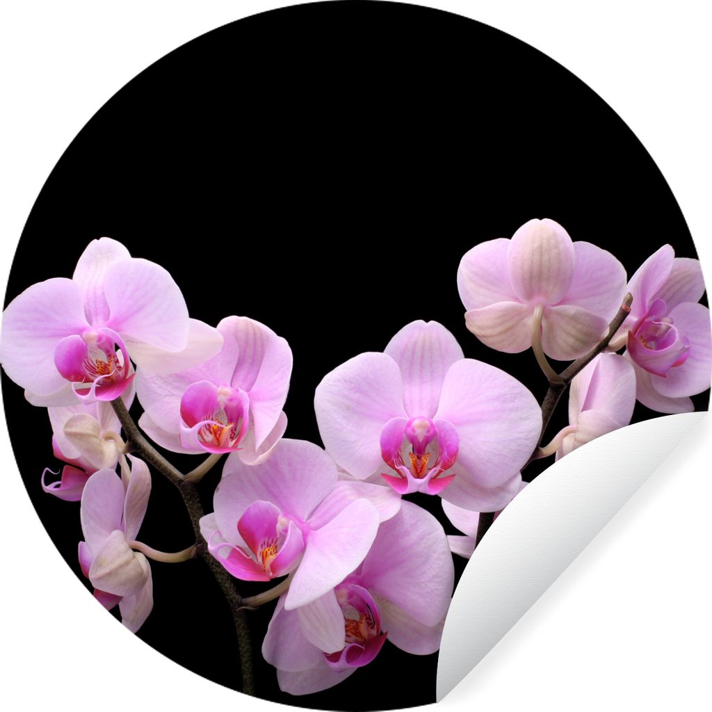 MuchoWow Runde Wandtattoo - Wandsticker Tapete Aufkleber Orchidee - Blumen - Rosa - Flora Ø 80 cm Selbstklebend und Repositionierbar - Wandaufkl...