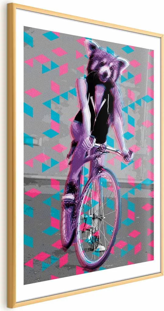 Quadro Divertente Procione in Bici 60x90 Cornice Oro | Gift Idea