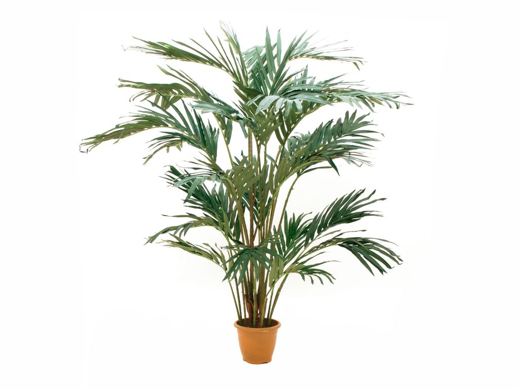 EUROPALMS Kanarische Dattelpalme, Kunstpflanze, 240cm (82511311)