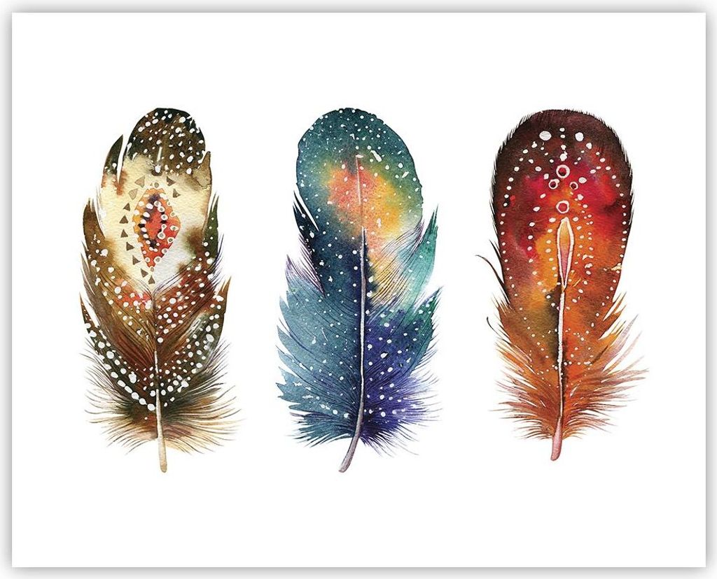 Poster - Poster ohne Rahmen - Feder Vogel Farbe - 50x40 cm - Wand Bild - Wanddeko - Wandbilder - Kunstposter - Wandposter - Bilder - Kunstdruck - W...