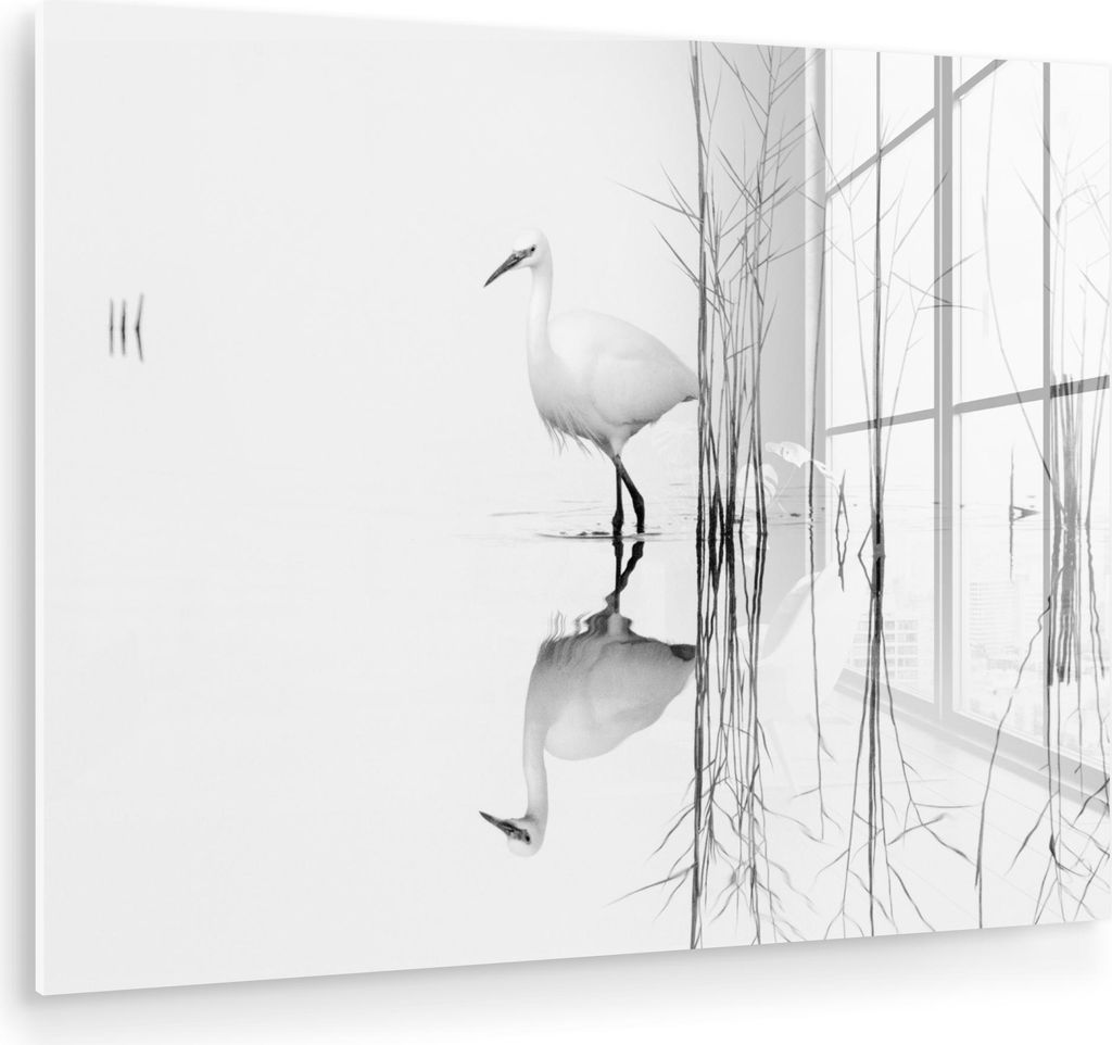 MuchoWow Glasbilder - Bilder auf Wandbild - Foto auf Glas Vogel - Wasser - Pflanzen - Natur 40x30 cm Wanddekoration aus Glas - Acrylglasbild - Acry...