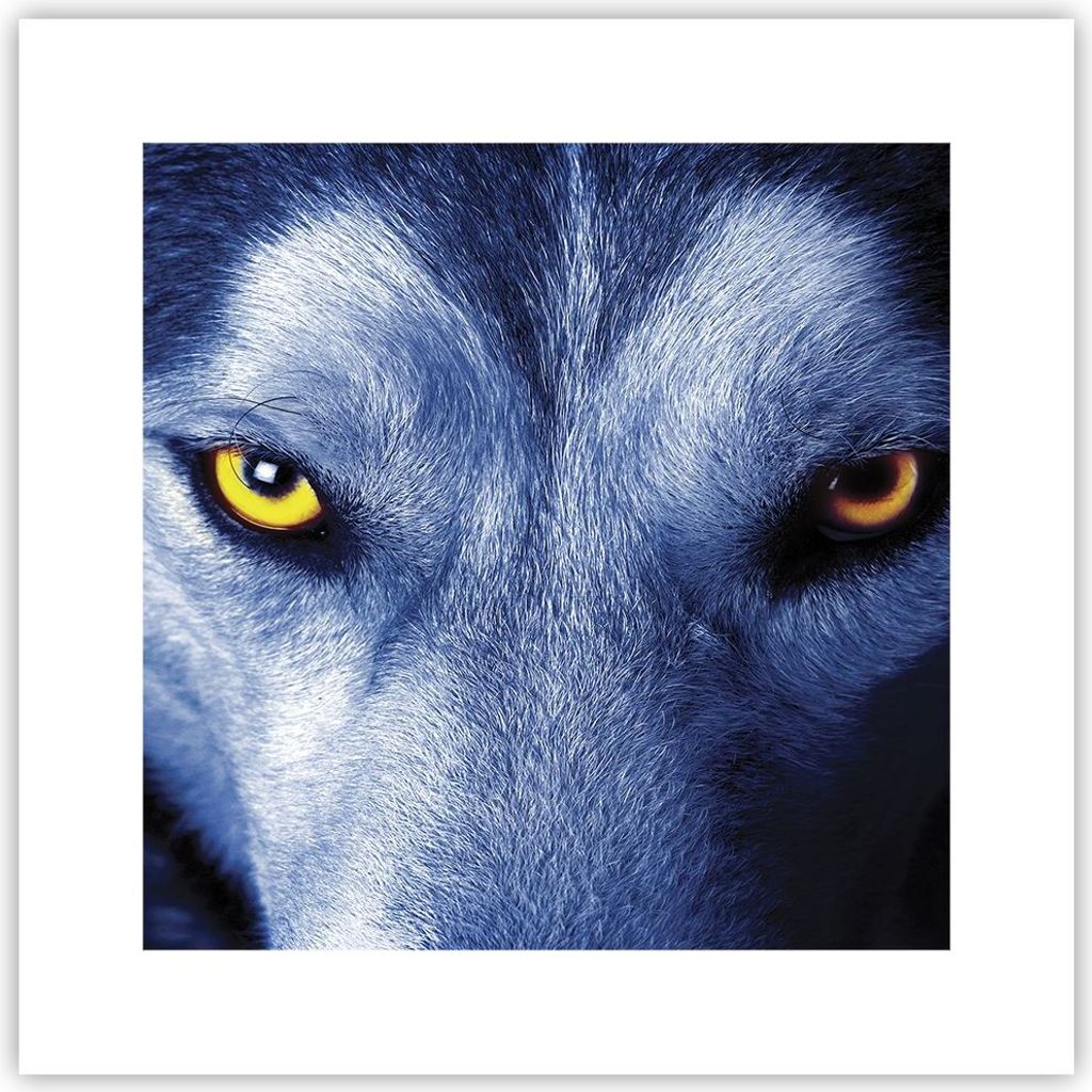 Poster - Poster ohne Rahmen - Schau der Wolf Augen - 30x30 cm - Wand Bild - Wanddeko - Wandbilder - Kunstposter - Wandposter - Bilder - Kunstdruck ...