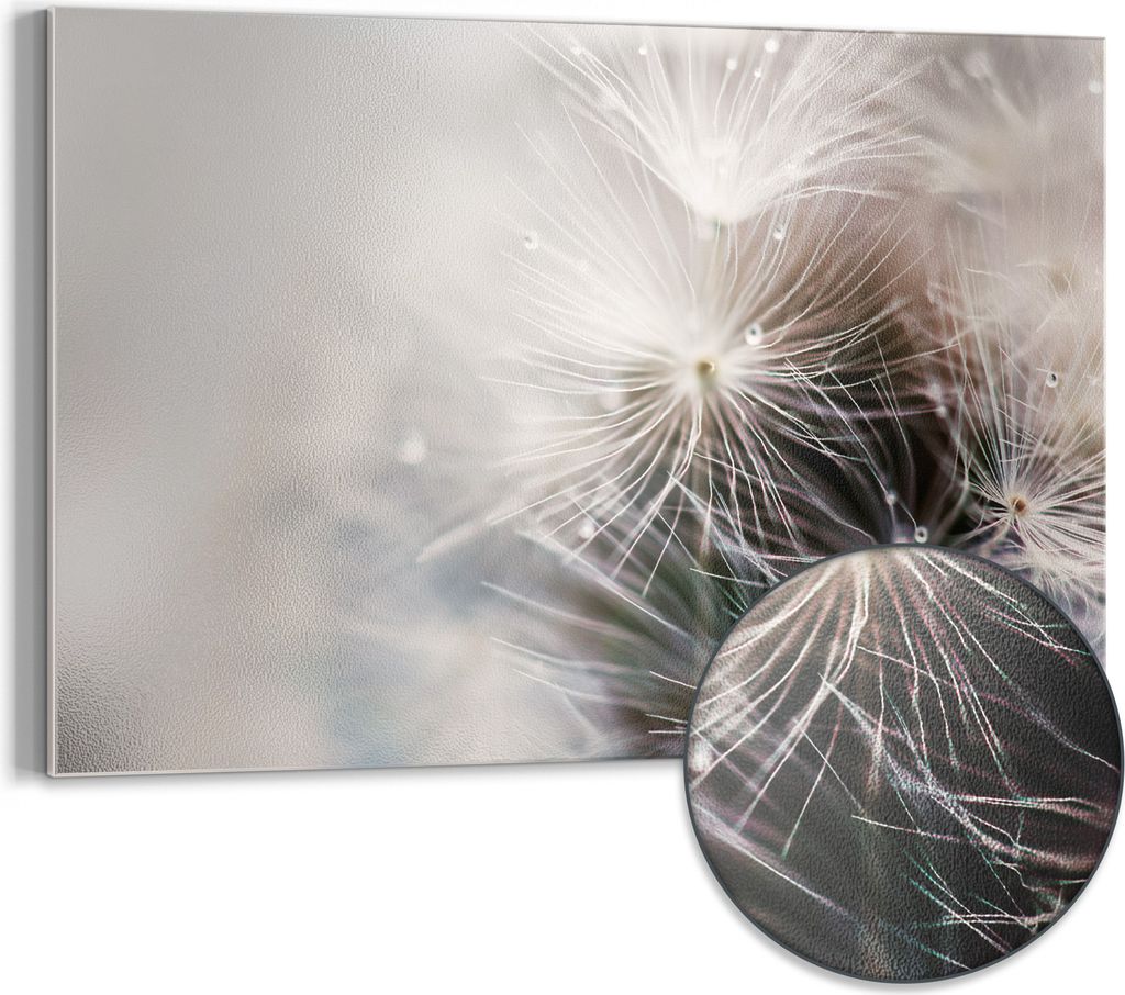 DEQORI Magnettafel Metall 60x40 cm 'Detailaufnahme Pusteblume' Whiteboard Pinnwand Büro