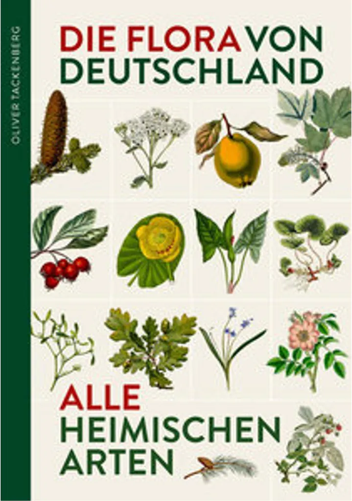 Livre de botanique flore d'Allemagne : espèces locales et sauvages 18cm