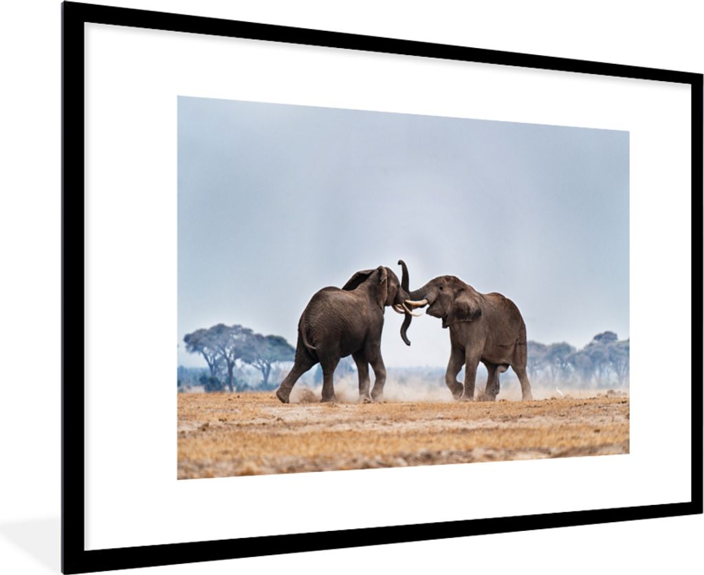 MuchoWow MuchoWow Gerahmtes Poster Elefant - Tiere - Flachland - Natur 90x60 cm - Poster mit zchwarzem Bilderrahmen - Wanddekoration - Fotos