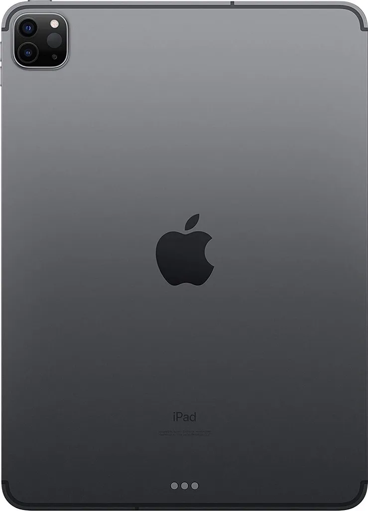 Apple iPad Pro 11 pouces 2ème Génération 256 Go Cellular Gris Sidéral