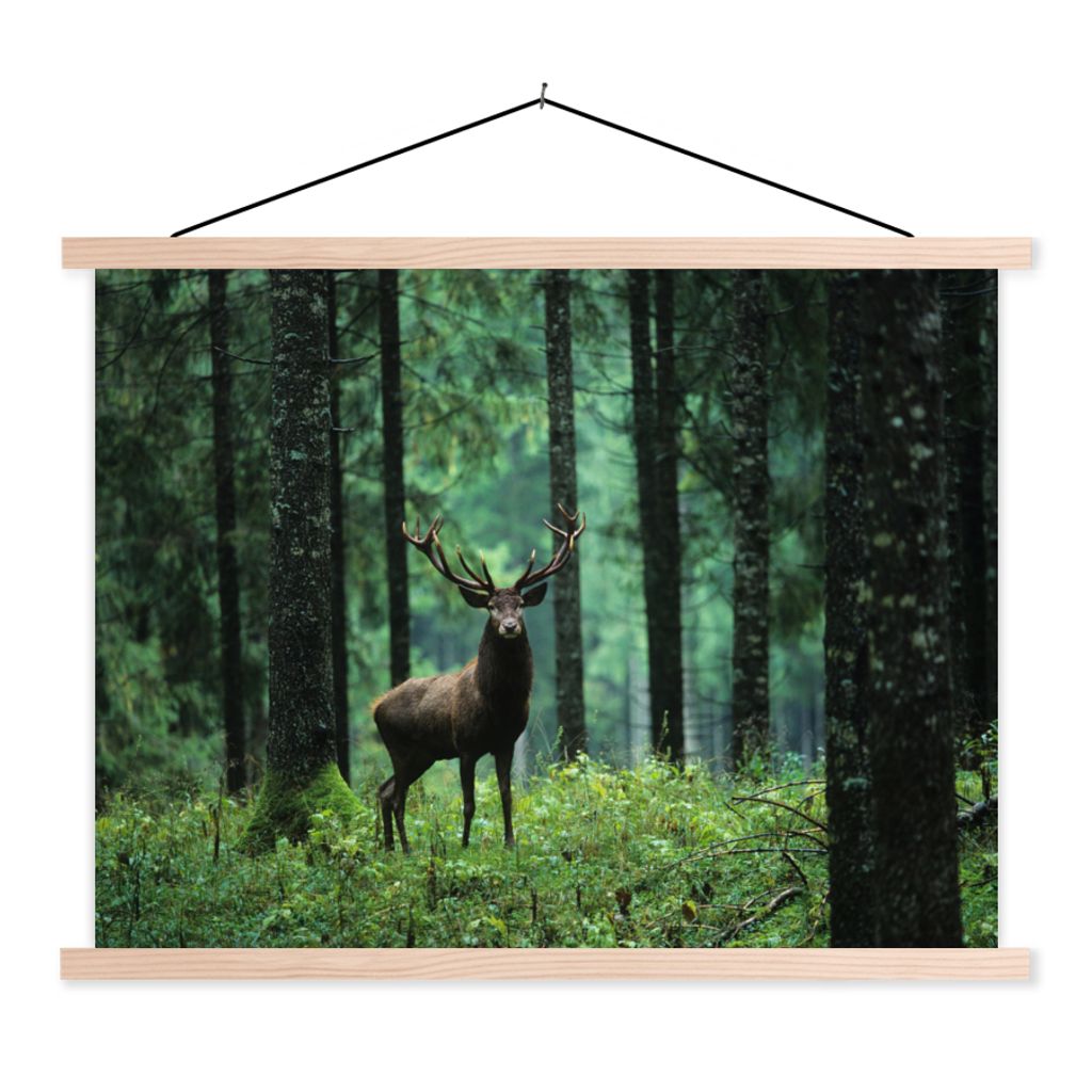 MuchoWow Textilposter Hirsche - Wald - Bäume - Tiere - Natur 120x90 cm mit holzfarbenen Rahmen - Magnetisch