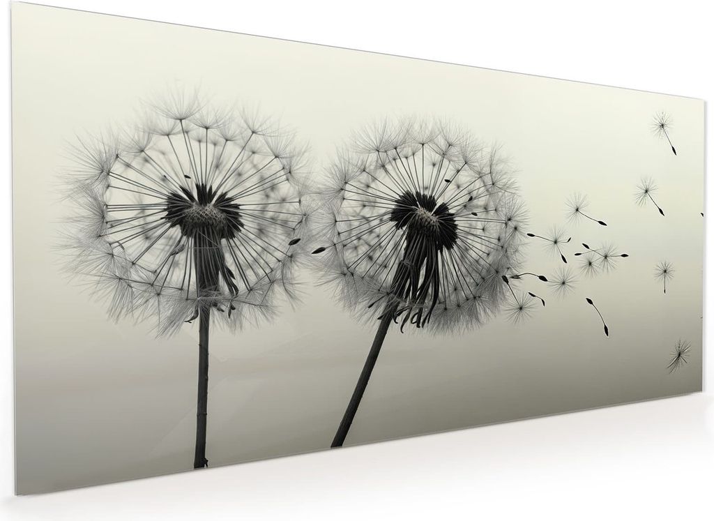 Küchenrückwand Spritzschutz Glas mit Motiv Pusteblume Schwarz 40 x 40 cm