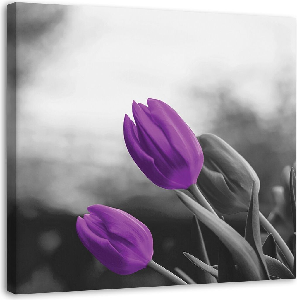 Leinwandbild lila tulpen blumen natur 60x60 cm Feeby lila wandbild bereit zum aufhängen