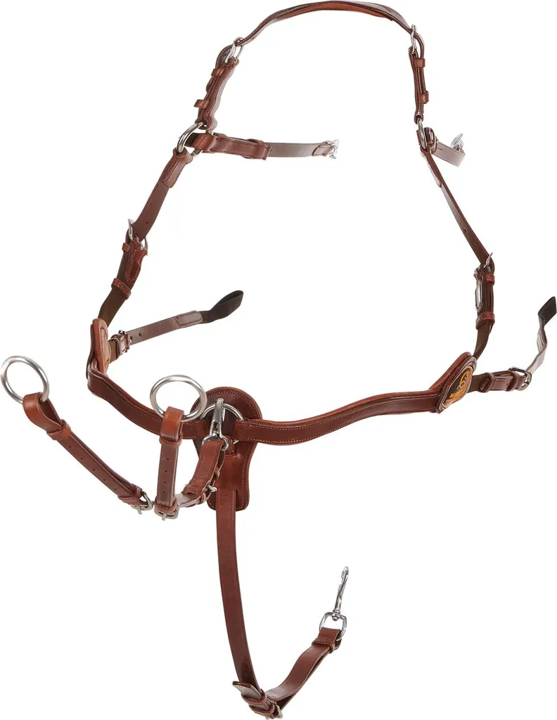 Collier de chasse de saut Acavallo Five-point Braun Full pour la stabilité