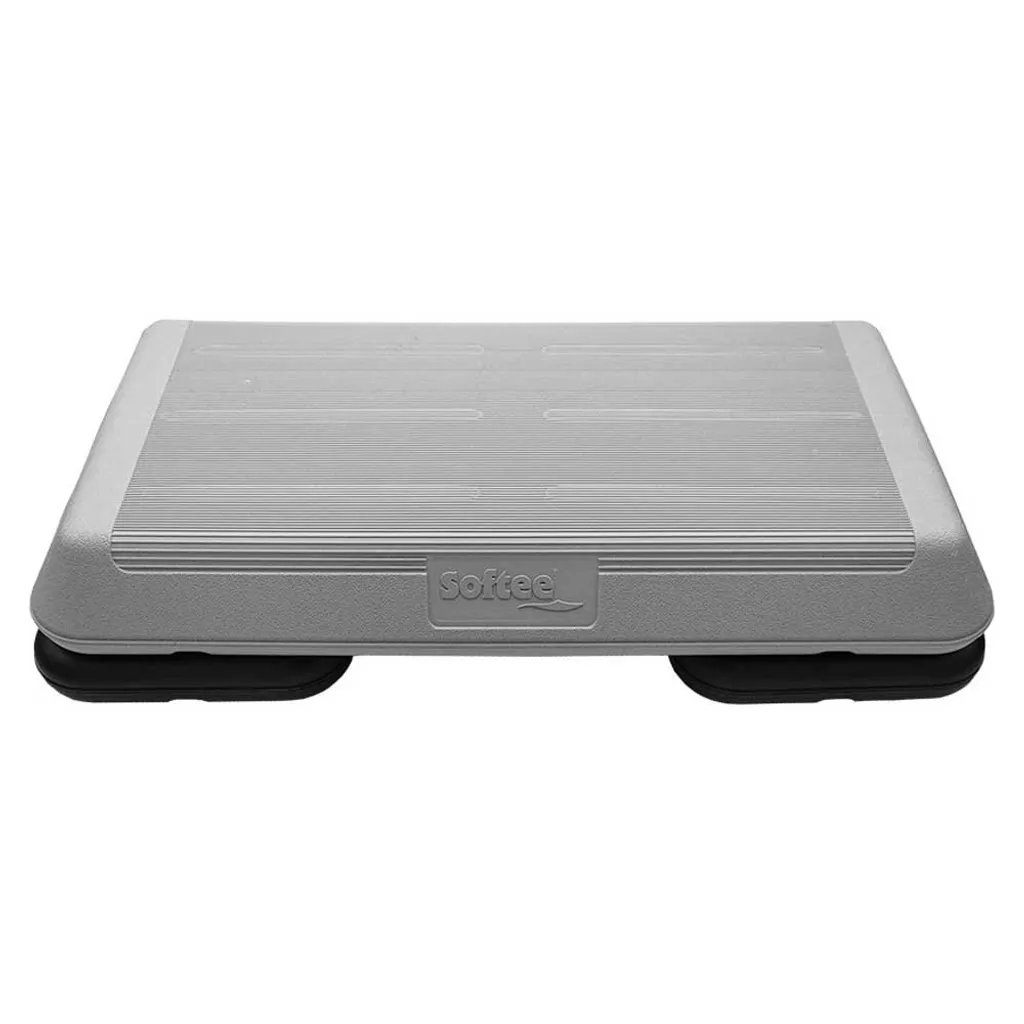 Ministep Gris Professionnel pour Maigrir et se Tonifier en Intérieur