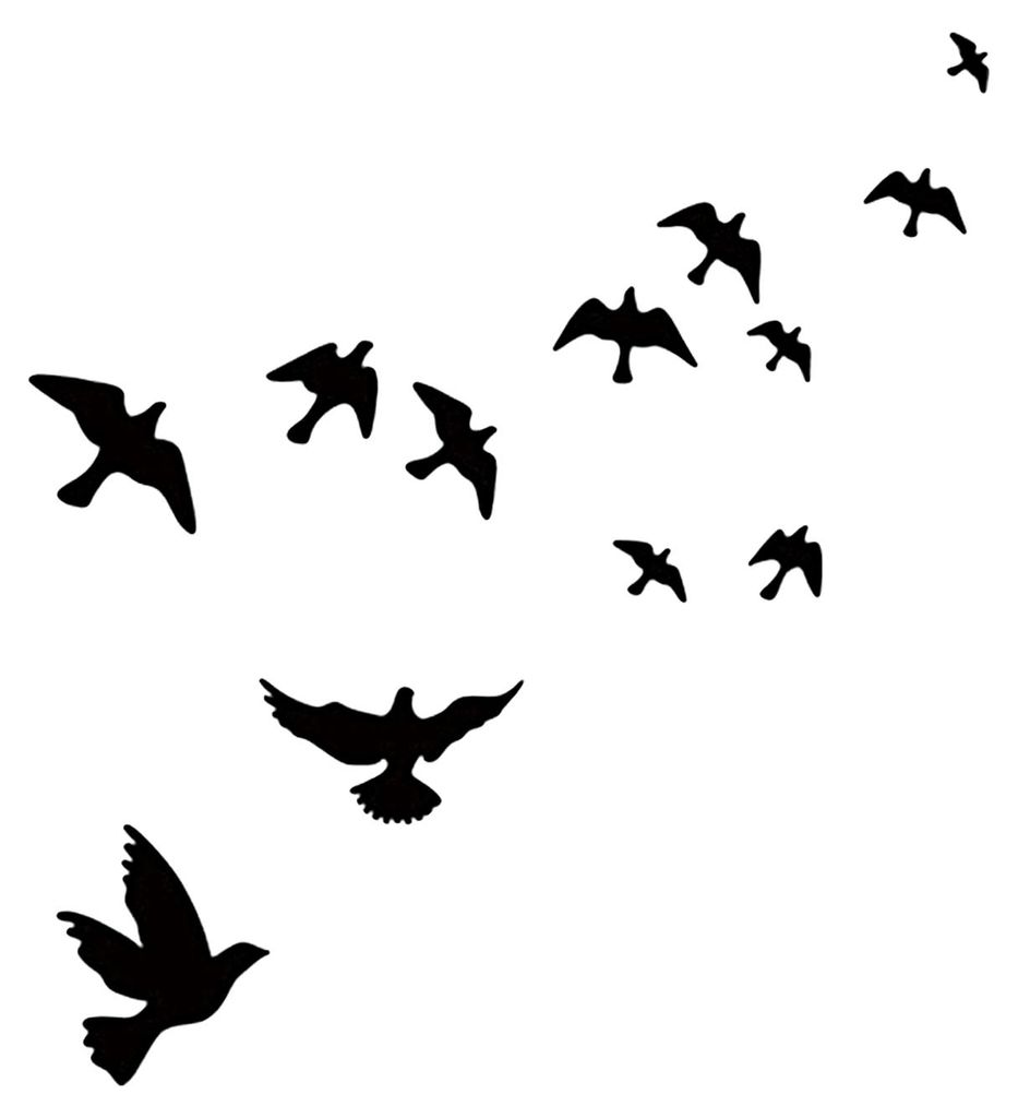 Wandtattoo mit starker Haftung, wasserfest und rückstandsfrei, Tiermotiv, ästhetische Friedenstaube, DIY-Wandtattoo für Zuhause