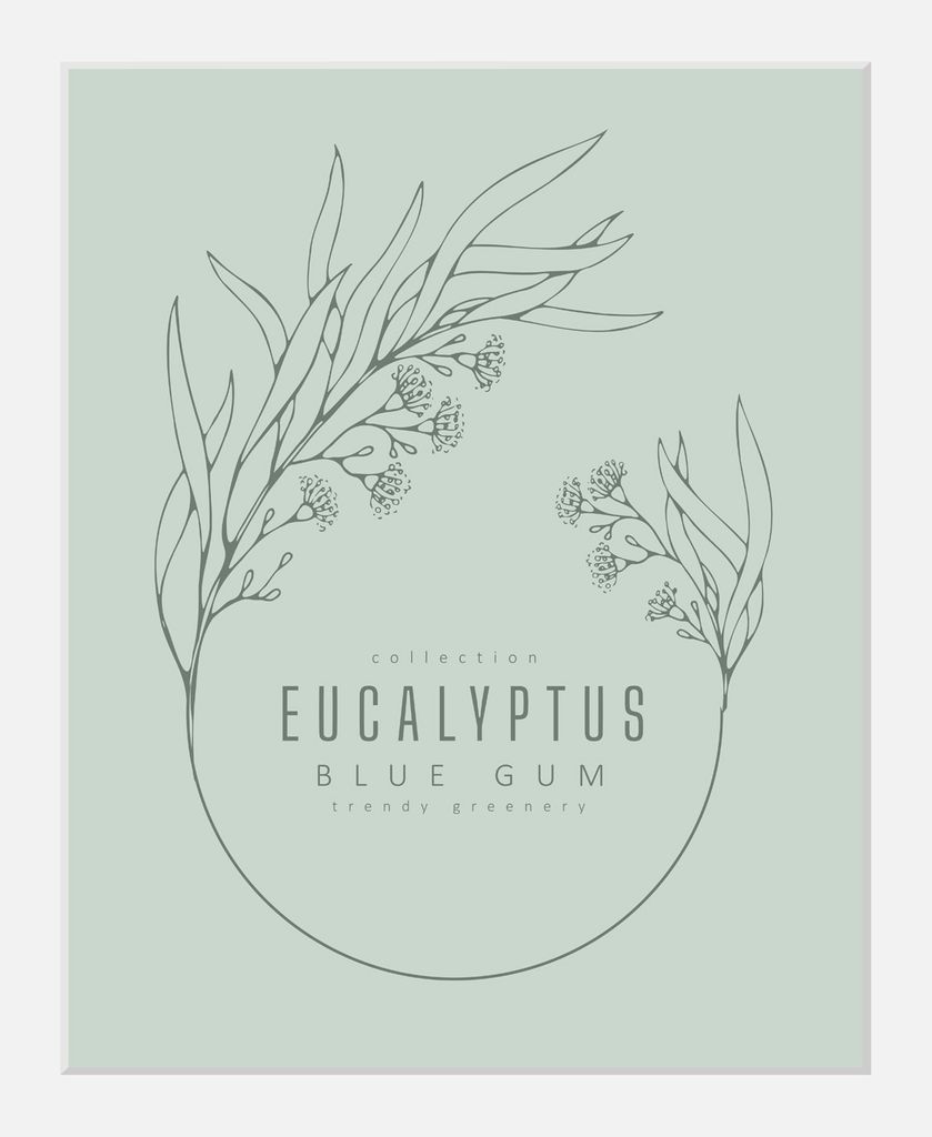 Gerahmter Digitaldruck 30x40cm Eukalyptus Pflanzen Plant Art | Wandbild | Design-Poster | Weißer Holzrahmen | Dekoration