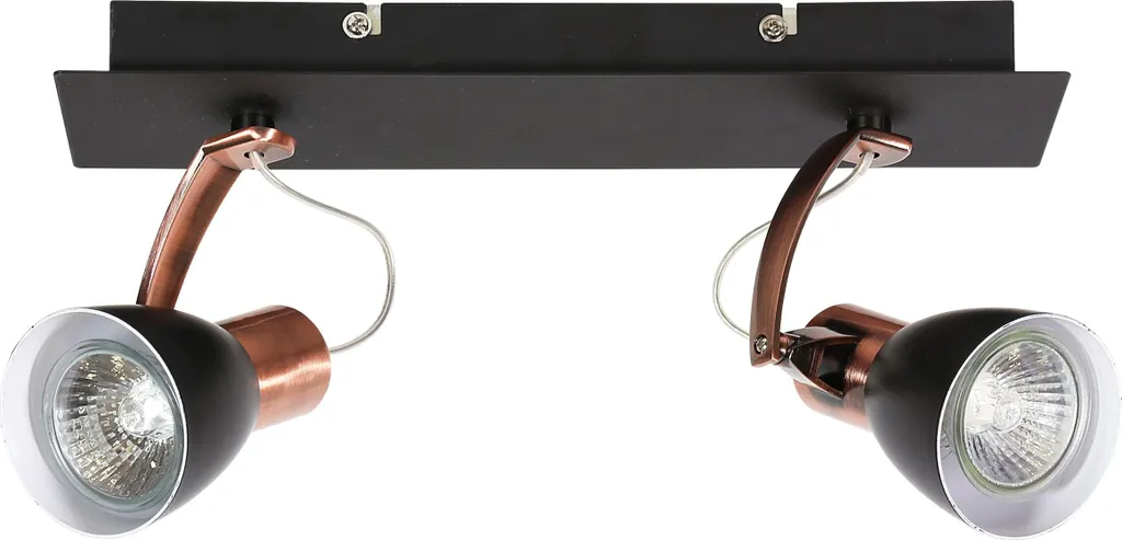 Éclairage de Plafond Orientable MARKUS pour Salon et Chambre 2xGU10