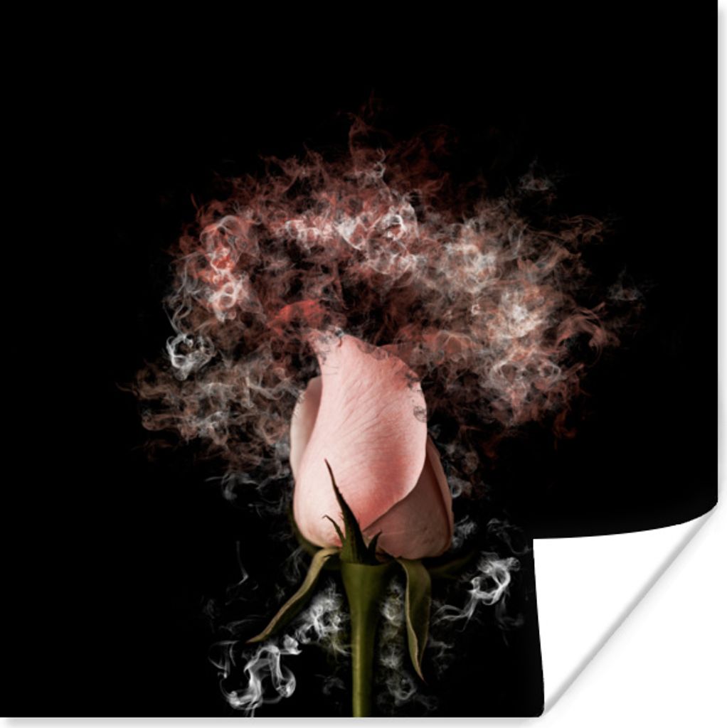 MuchoWow Poster Rosen - Blumen - Rosa 100x100 cm - Babyzimmer