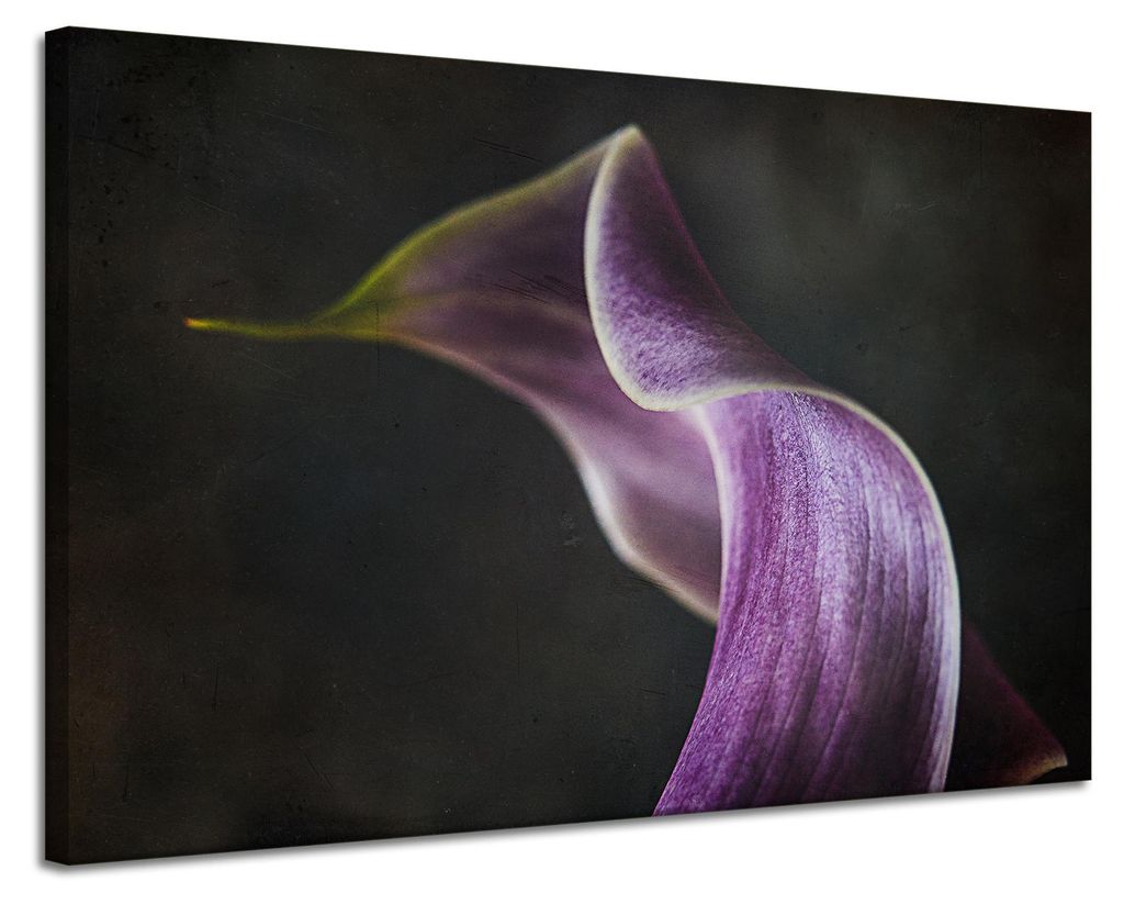 Leinwanddruck „Lila Blütenblatt“, 120 x 80 cm